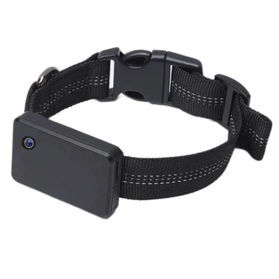 Collar, Call Video, Customizable, GPS Locator