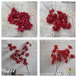 &otimes;�tɫ�� �Ƽtɫ���� ��Y���bٻ� ���tɫ��c��ˇ���ĬF