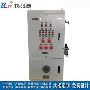 Positive pressure explosion-proof electrical distribution cabinet petrochemical power metallurgy instrument control explosion-proof cabinet factory direct sales