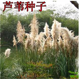 ����ˮ�����ܷN���� �JȔ�N�� ���繝�������J�Y����N��