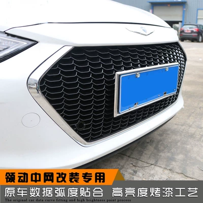 bumper decorative bright strip front – Automobile anti-insect net