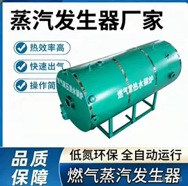 蒸汽发生器;燃煤锅炉;燃气锅炉