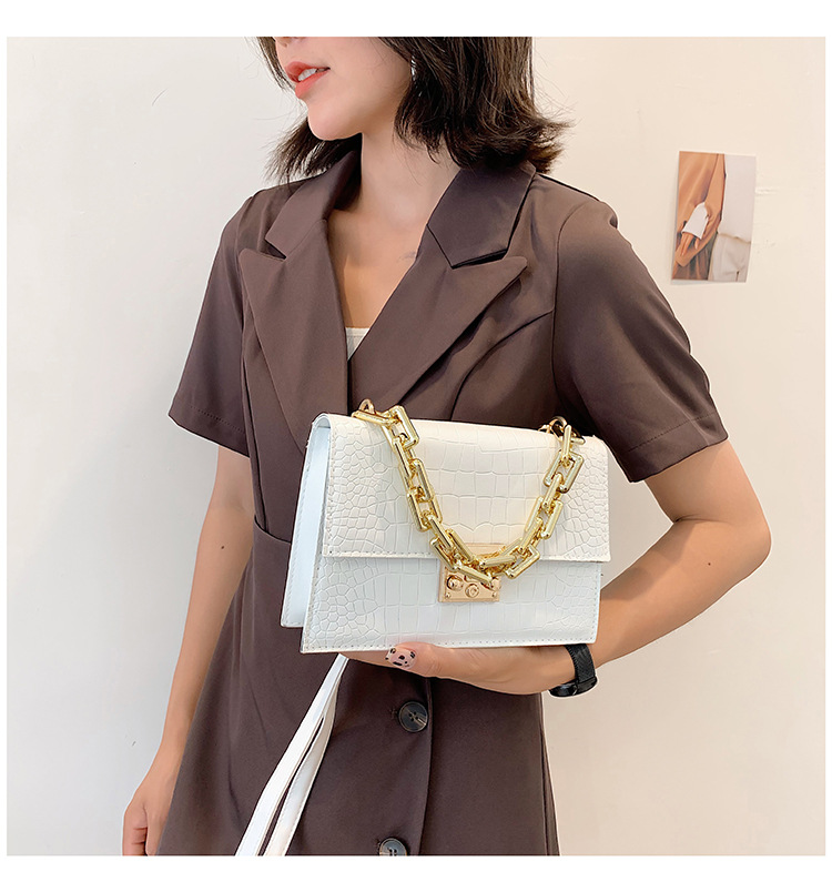 Fashion Fashionable Small Square Bag 2021 Spring And Summer New Chain Women's Bag Shoulder Crossbody Small Handbags One Piece Dropshipping display picture 11