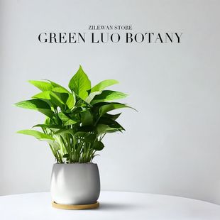 �G�}�����҃ȼ��ÿ͏d����ȩ�Gֲ�����՚��k�����ļ������������B