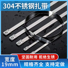 304���P���������19mm�����������z������P�������������Q����