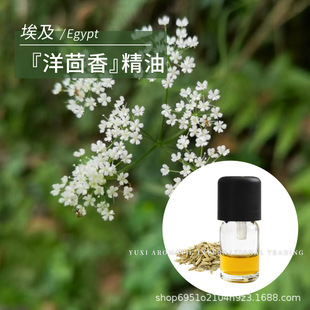 �����a�ش�����������s��ȡ��ů����1ml�η������㾫��