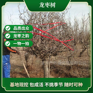 �������������Ϸ�����ͥԺ�e���Nֲ���͹Ř���צ������]�@ˇ���^