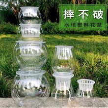 水培透明塑料花瓶 水养植物花盆水培植物固定容器 绿萝圆形高透盆