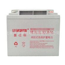 �����D��늳�NP24-12 12V24AH������UPS�����󾯑����Դ