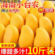 ����С̨�râ��9�����rС̨â�������Ꭷˮ���Fժ����â������]