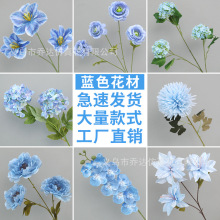 �{ɫ���滨��c��Ʒ�ٻ����߻�Y����·�������b��F���{���滨��