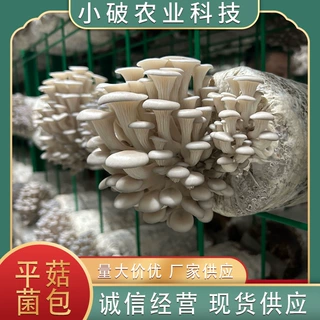 蘑菇菌包定制食用菌菌种平菇金耳天麻桑黄灵芝等包批发自种袋装