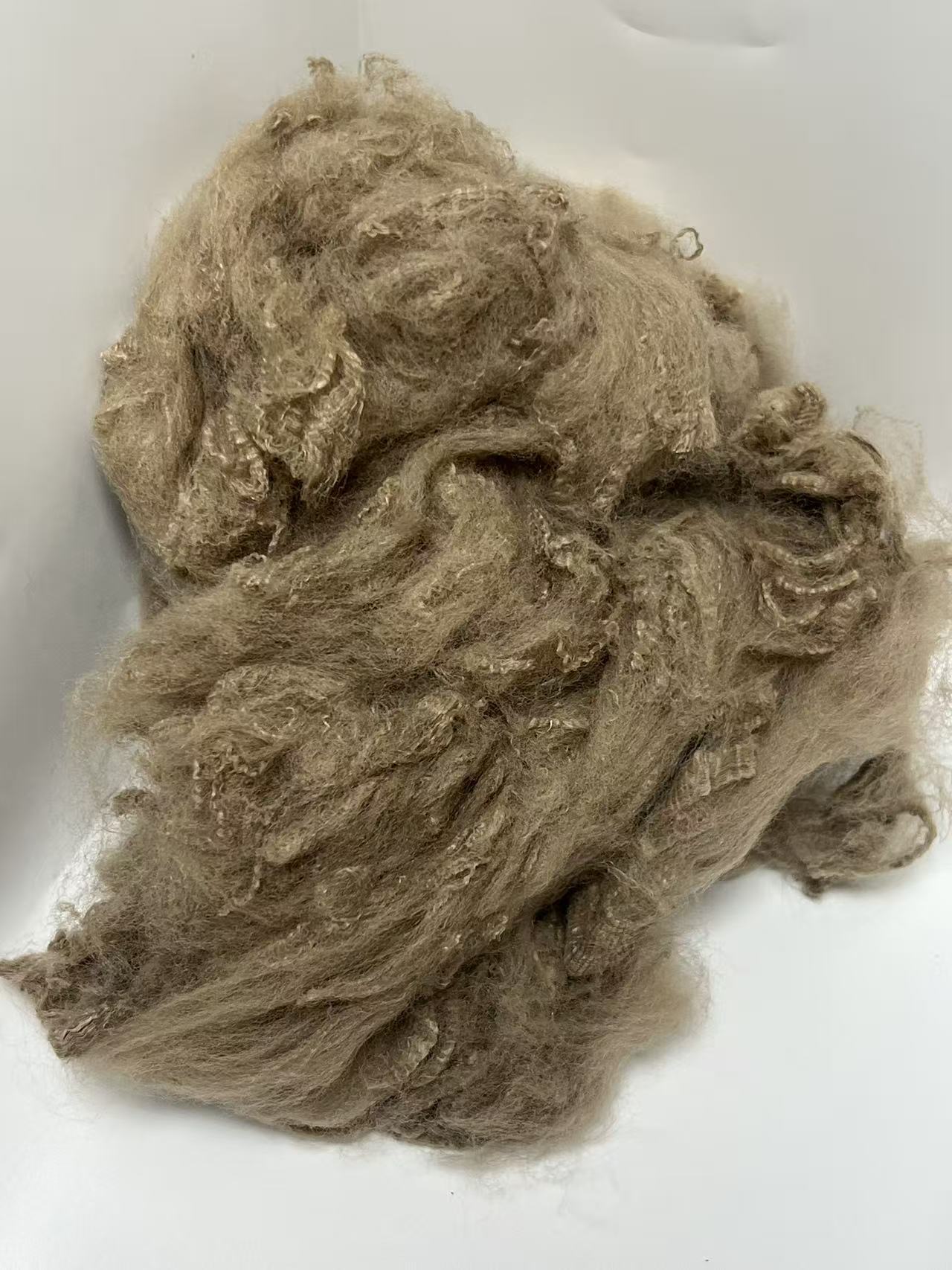 微信图片_20250909105229_31_68