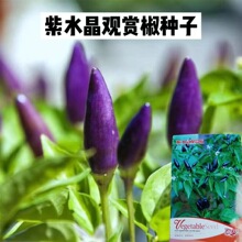 ��ˮ���^�p�����N����ɫС�׽��N���ݽ��N�ӳ��콷�N���߲˷N��