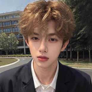 Wool Roll Wig Boys Korean Handsome Personality Natural Tin Paper Hot Simulation Daily Fireworks Roll Small Roll Hair Cover