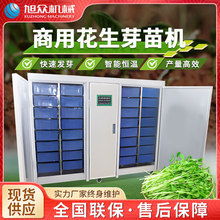 花生芽机商用自动恒温恒湿花生芽苗机厂家直销旭众机豆芽机