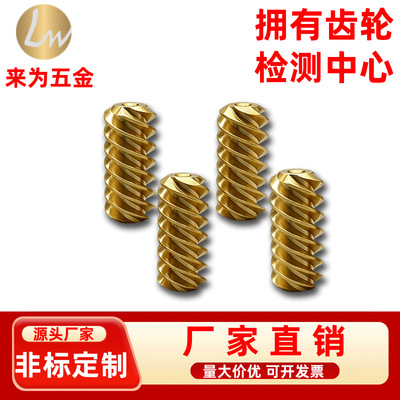 [非标定制 0.3模 0.4模 0.5模精密黄铜涡轮蜗杆减速机配件快速打样]