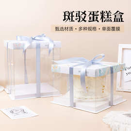 透明蛋糕盒子六6寸8寸生日礼物包装盒蛋糕店烘焙礼盒送丝带蛋糕盒