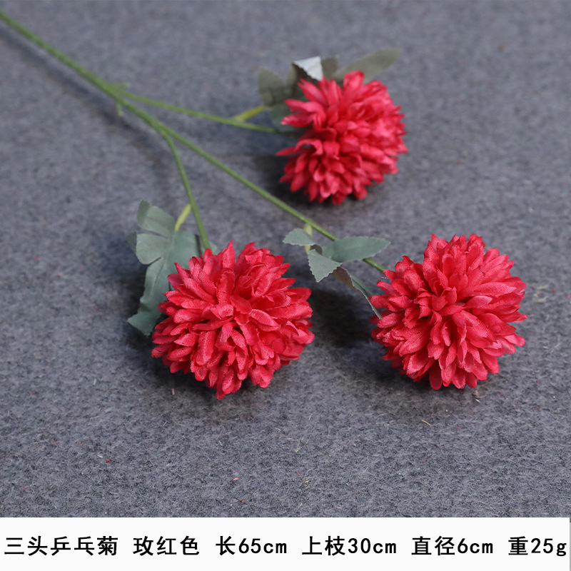 2 세대 3 헤드 탁구 국화