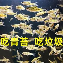 ԭ���~��ˮ�~�l�yС?�~���w��ˮСϪ�~���?Ⱥ���^�p���B�ͻ�