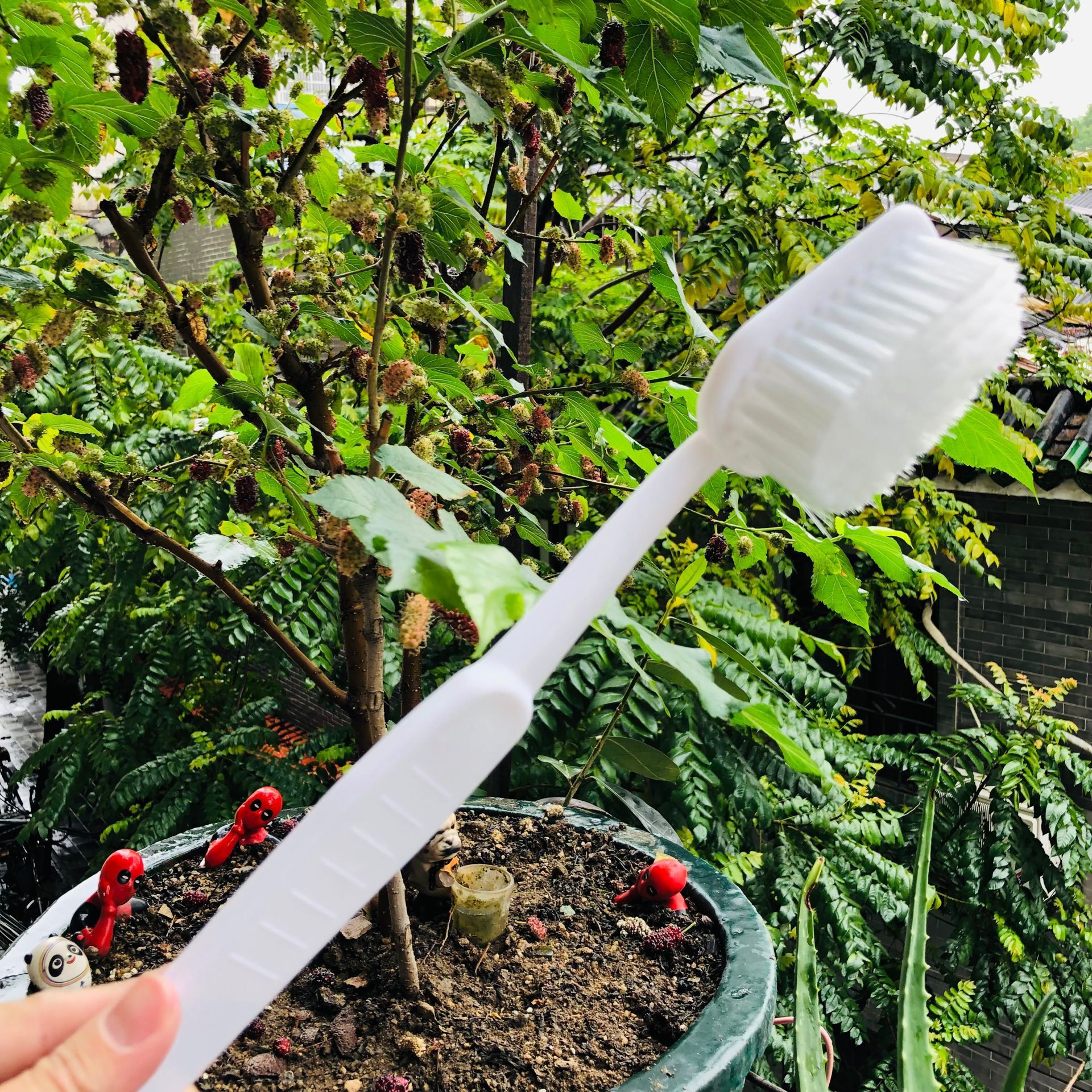 Cepillo de dientes de forma grande cepillo de baño colgante cepillo de baño