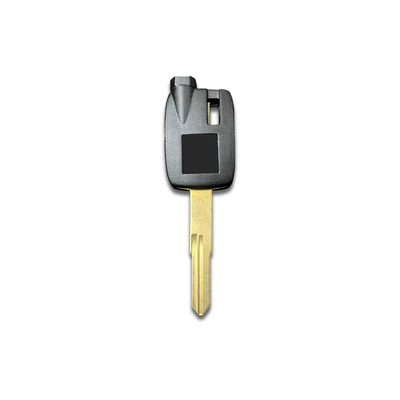 Embryo with Magnet, Motorcycle Key