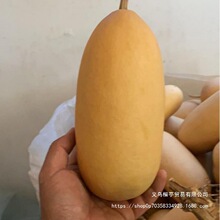 �F�д����̓rҰ�����ϴ����ֺ��J�m���Ӯ����L������ֹ��Y������