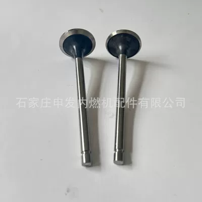 Valves and components 6L intake valve