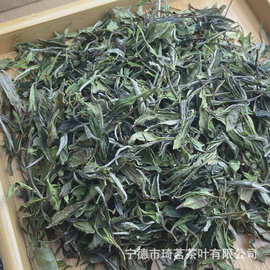 福建高山小白茶贡眉 菜茶 品种老丛白茶甘甜清香古树茶叶厂家直供