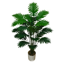 �羳���l����Gֲ����ɢβ���F���~�@���쾰�҃���������b٘�