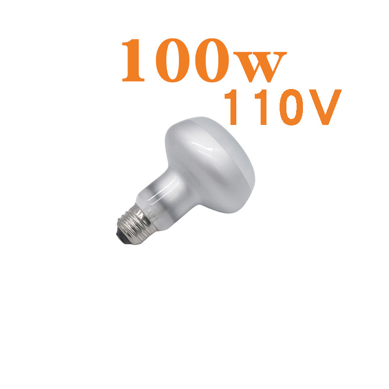 R80 사막 태양 램프 110V 100w