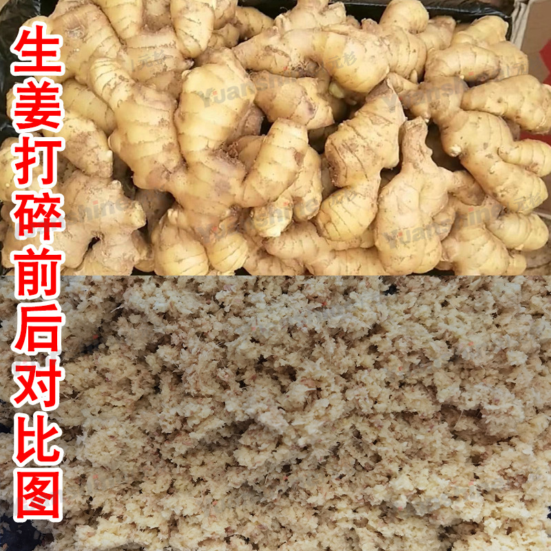 香蕉打泥机 蓝莓水果打碎机设备 整机不锈钢食物破碎机 厂家供应