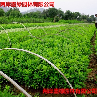 ���N�e��ͥԺ�@�ֹ��̾G�����Në���N��С��ž�ë�������Զ���