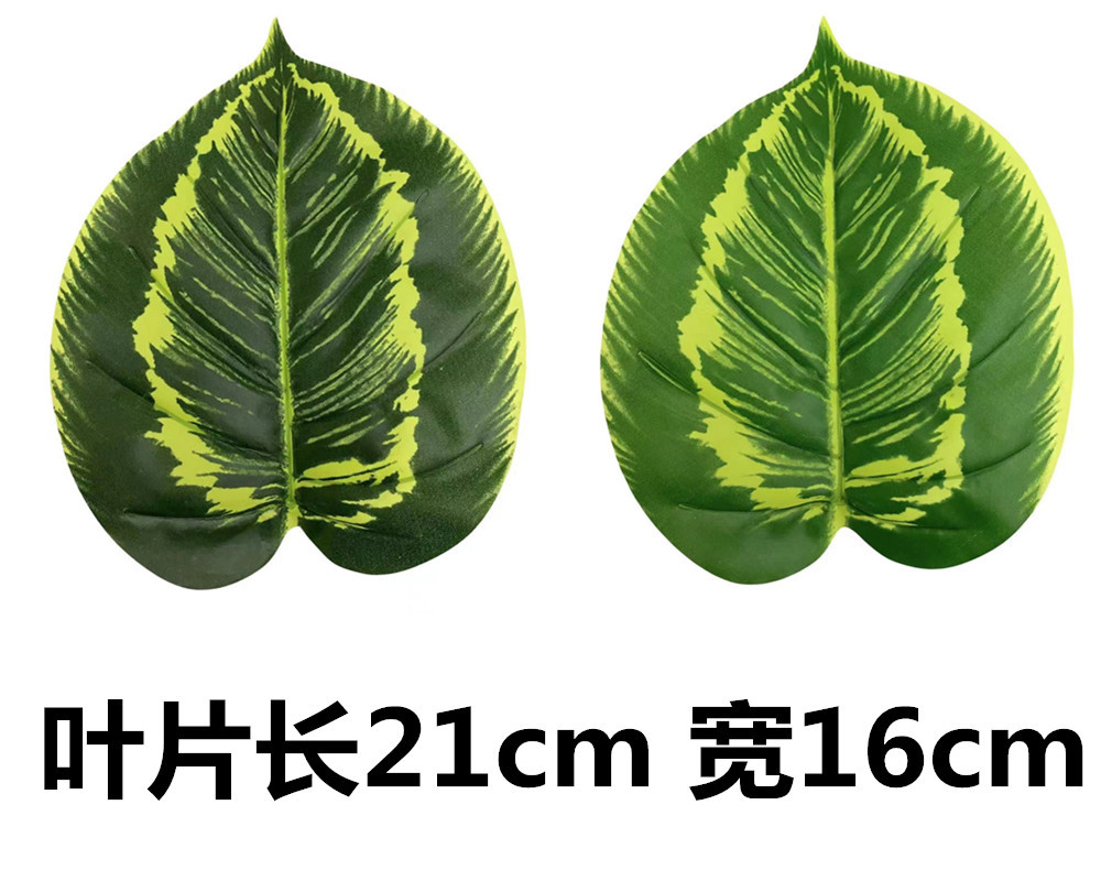 未命名_副本