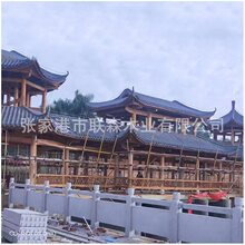 �нӹŽ��Ʒ� �e��ͥԺ̨ͤ���w �¹Ž��B�T�ǘ��w �Ž��Ʒ��Ƙ�