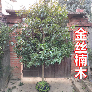 ���ڽ�z�ľ������ͥԺ�e���������ԾGֲ���ܴ������F��N�ͺ�