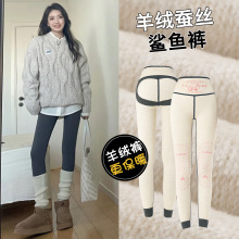 灰色鲨鱼裤女外穿2025新款秋冬季东北加厚羊绒保暖棉裤加绒打底裤