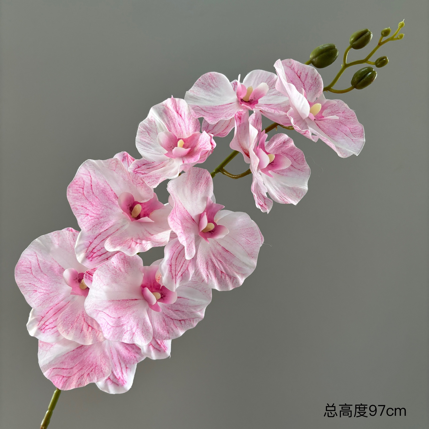 분홍색 보라색