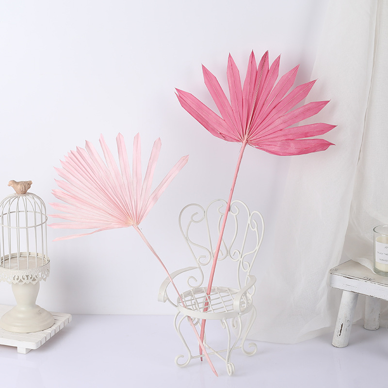 Guanyin fan dry palm leaf small fan leaf leaf fan eternal flower…
