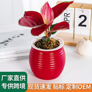 �҃ȑ��˻�����Ȼ�^�~ֲ��������ˮ���ԾGֲ����