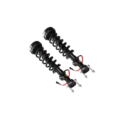 Assembly Shock Absorber – damping system