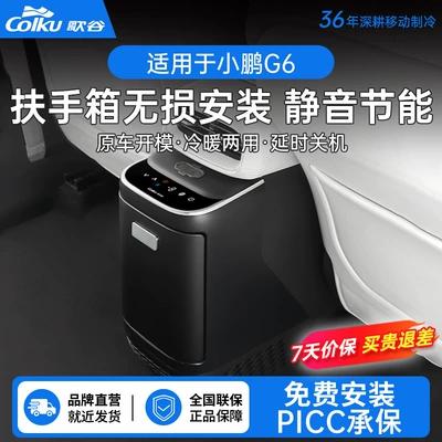 Soyuducular — Modified Car-Specific Refrigerator Armrest Box