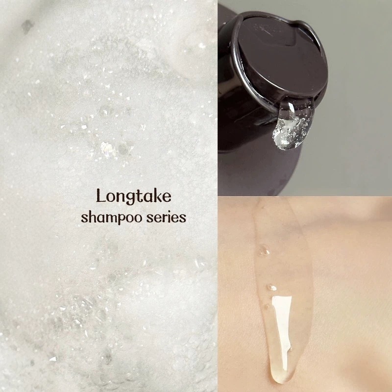跨境专供LONGTAKE雪野松侧柏叶洗发水控油蓬松檀香洗发露头300ml|undefined