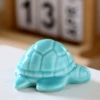 Turtle cyan