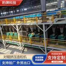 农用化肥生产加工过磷酸造粒机小型有机肥生产线 对辊挤压造粒机
