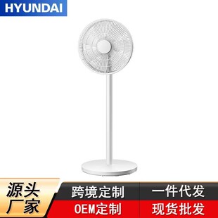 HYUNDAI�F����L������ȼ���С�ʹ��L����ȓu�^�ȼ����b����ʽ