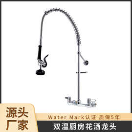 8寸入墙花洒水龙头高压冲洗厨房全铜增压花洒水龙头套装厂家直供