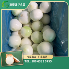 2022 剥皮充氮洋葱 工厂直供 甘肃产地 备案种植基地产 出口日本