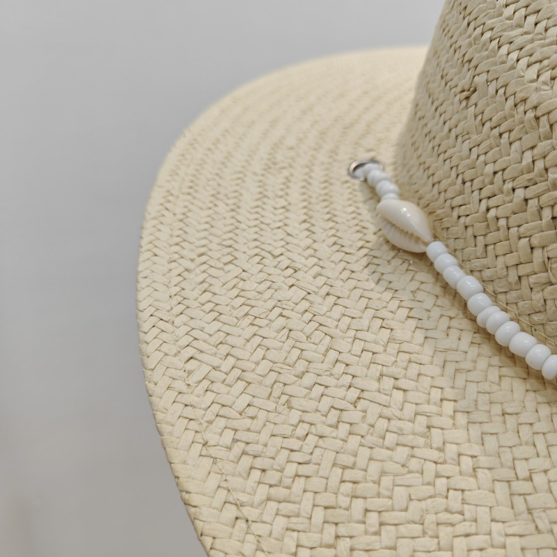 Unisex Basic Cowboy Style Classic Style Shell Big Eaves Sun Hat Straw Hat display picture 9