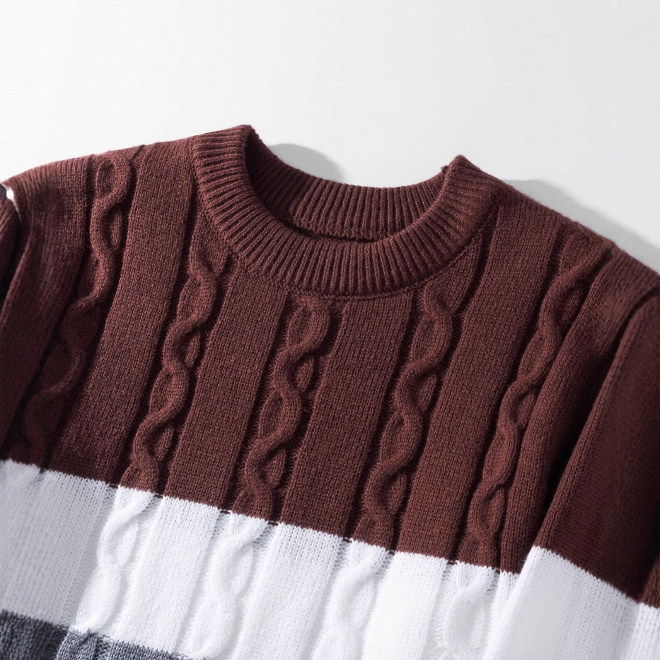 Herren-Strickpullover mit Farbblock-Design, Retro-Zopfmuster, langärmelig, Rundhalsausschnitt, für warmes Freizeitoutfit im Herbst und Winter_voghion.com